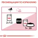 Royal Canin Instinctive (желе), 85 гр