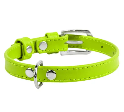 Collar Ошейник 