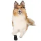 Ботиночки 