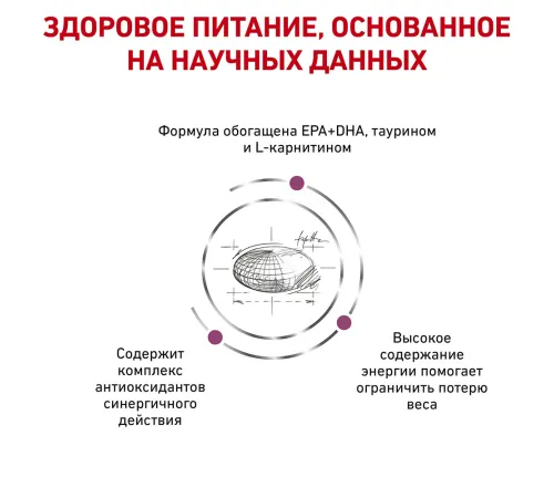 Royal Canin Cardiac Dog, 2 кг