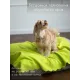Уютный плед Плед флисовый, Лаймовый Зеленый, 60х70 см