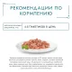 Гурмэ Перл Желе Делюкс с лососем в желе, 75 г