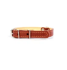 Collar двойной Brown 14 мм, 27-35 см