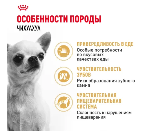 Royal Canin Chihuahua Adult 500 г
