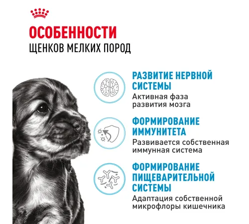 Royal Canin Mini Puppy, 800 г