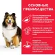 Hill's Science Plan Sensitive Stomach & Skin для собак средних пород (курица), 14 кг
