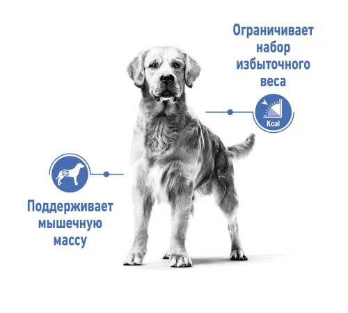 Royal Canin Medium Light Weight Care, 3 кг