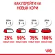 Royal Canin Kitten (желе) 85 гр