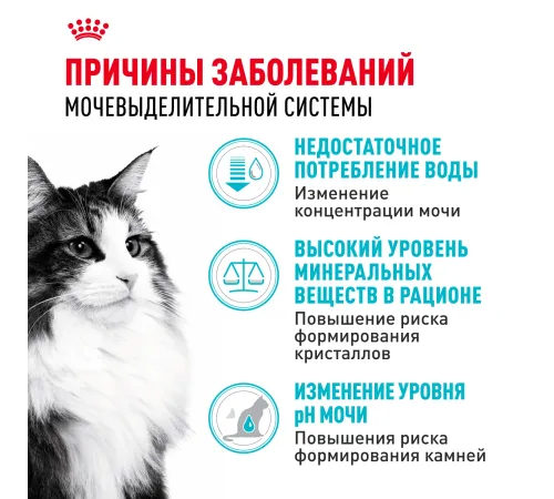 Royal Canin Urinary Care 400 г