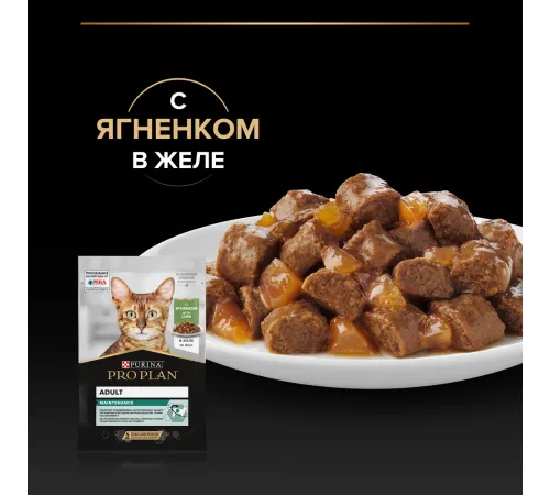 Pro Plan Adult Maintenance (Ягненок в желе), 85 г