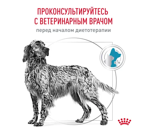 Royal Canin Hypoallergenic Dog, 1,5 кг
