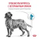 Royal Canin Hypoallergenic Dog, 1,5 кг