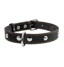Collar Ошейник одинарный с украшением черный 25 мм, 38-50 см