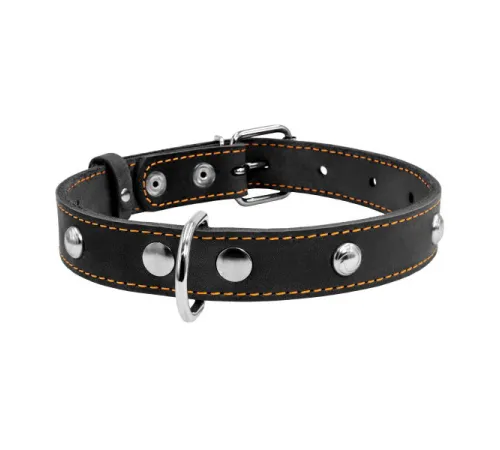 Collar Ошейник одинарный с украшением черный 25 мм, 38-50 см