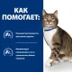 Hill's Prescription Diet s/d Urinary Care для кошек, с курицей 1,5 кг