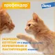 Elanco Профендер для кошек от 5 до 8 кг, 1 пипетка