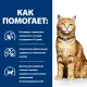 Hill's Prescription Diet c/d Multicare Urinary Care для кошек с лососем, 85 г