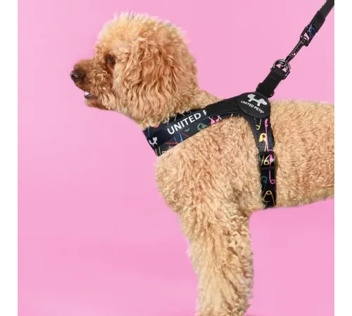 United Pets Шлейка Complete me, черный с разноцветными булавками, 1,5 х 34-42 см