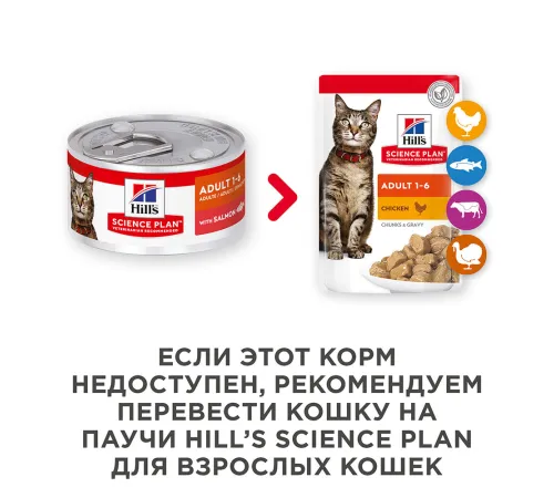 Hill's Science Plan Влажный корм для кошек для поддержания жизненной энергии и иммунитета (лосось) 82 г