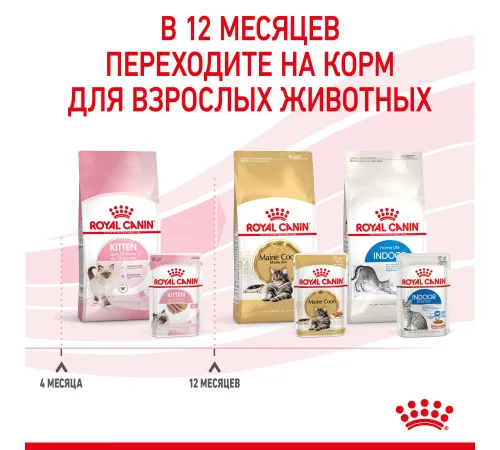 Royal Canin Kitten (паштет) 85 гр