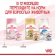 Royal Canin Kitten (паштет) 85 гр