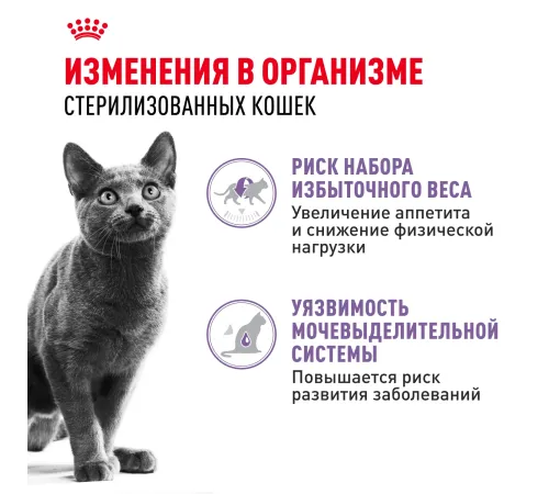 Royal Canin Sterilised (желе) 85 гр