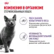 Royal Canin Sterilised (желе) 85 гр