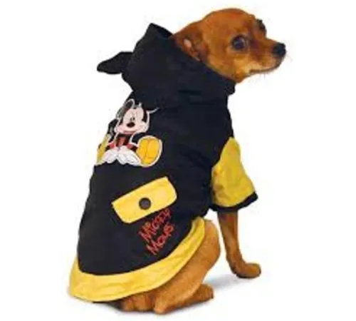 WD1026  Дождевик Mickey, размер М