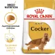 Royal Canin Cocker Adult, 3 кг