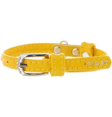 Collar Ошейник 