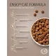 ENSO Cat Formula Monoprotein (Индейка), 350 г
