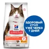 1,5 кг