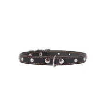 Collar одинарный с украшением Black 12 мм, 24-32 см