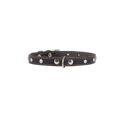 Collar одинарный с украшением Black 12 мм, 24-32 см