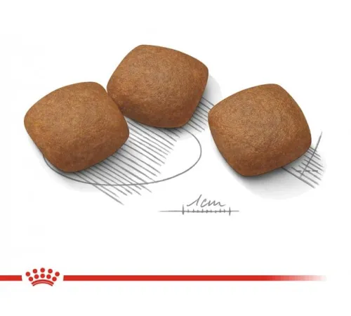 Royal Canin Maxi Joint Care, 10 кг