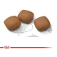 Royal Canin Maxi Joint Care, 10 кг