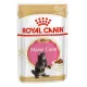 Royal Canin Maine Coon Kitten (соус), 85 г