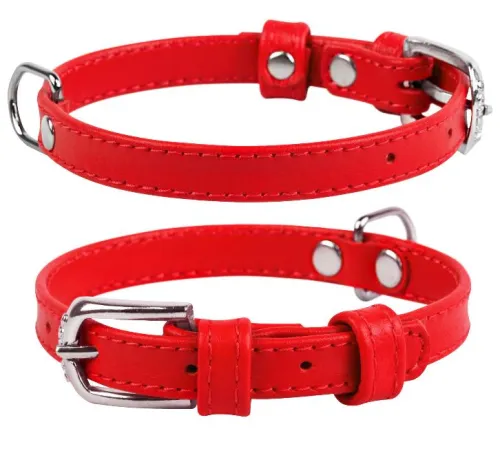Collar Ошейник 