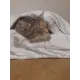 Bast Плед прямоугольный, М