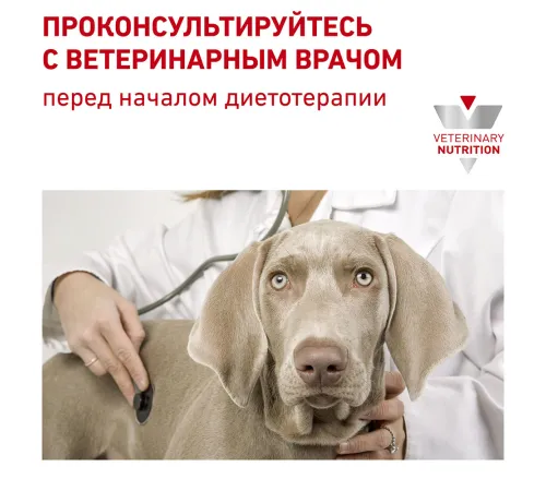 Royal Canin Recovery (мусс), 195 г