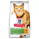 Hill's Science Plan Senior Vitality для пожилых кошек старше 7 лет (курица, рис) 300 г