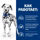 Hill's Prescription Diet u/d Urinary Care для собак, 4 кг