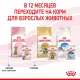Royal Canin Kitten Sterilised (желе), 85 г х 12 шт