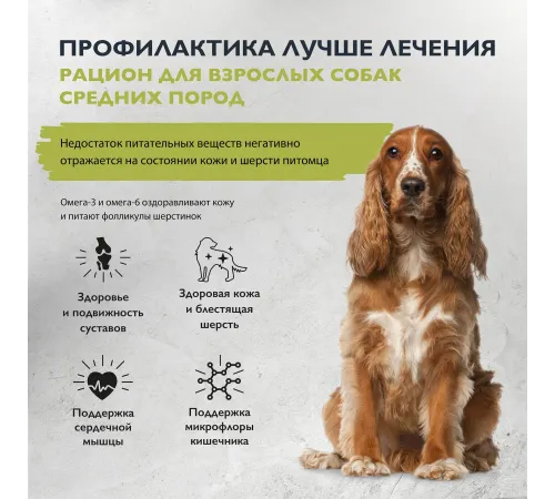 Брит Кеа Dog Adult M Healthy Skin&Shiny Coat (Лосось, индейка), 3 кг new
