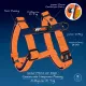 Joyser Шлея Base Step-in Harness, оранжевая, М