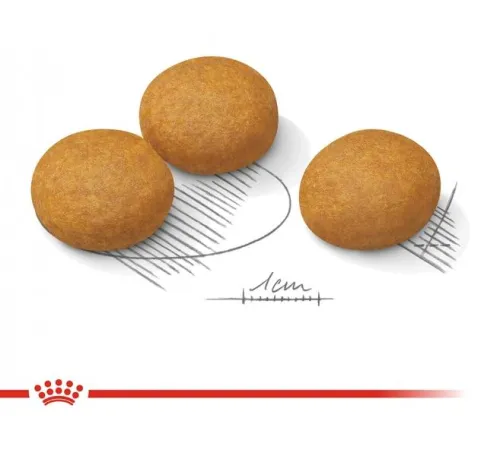 Royal Canin Maxi Dermacomfort, 10 кг