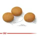 Royal Canin Maxi Dermacomfort, 10 кг