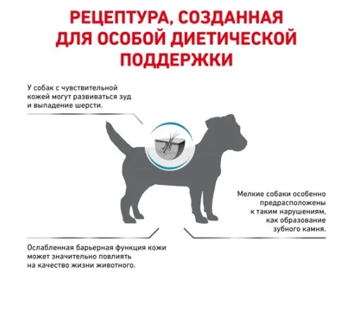 Royal Canin Skin Care Small Dog, 2 кг + EDUC в подарок