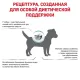Royal Canin Skin Care Small Dog, 2 кг + EDUC в подарок