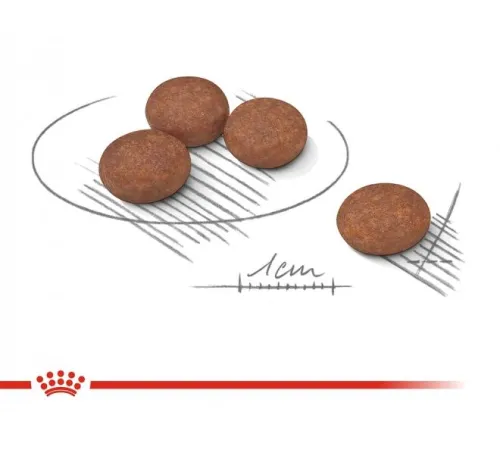 Royal Canin Mini Digestive Care, 1 кг